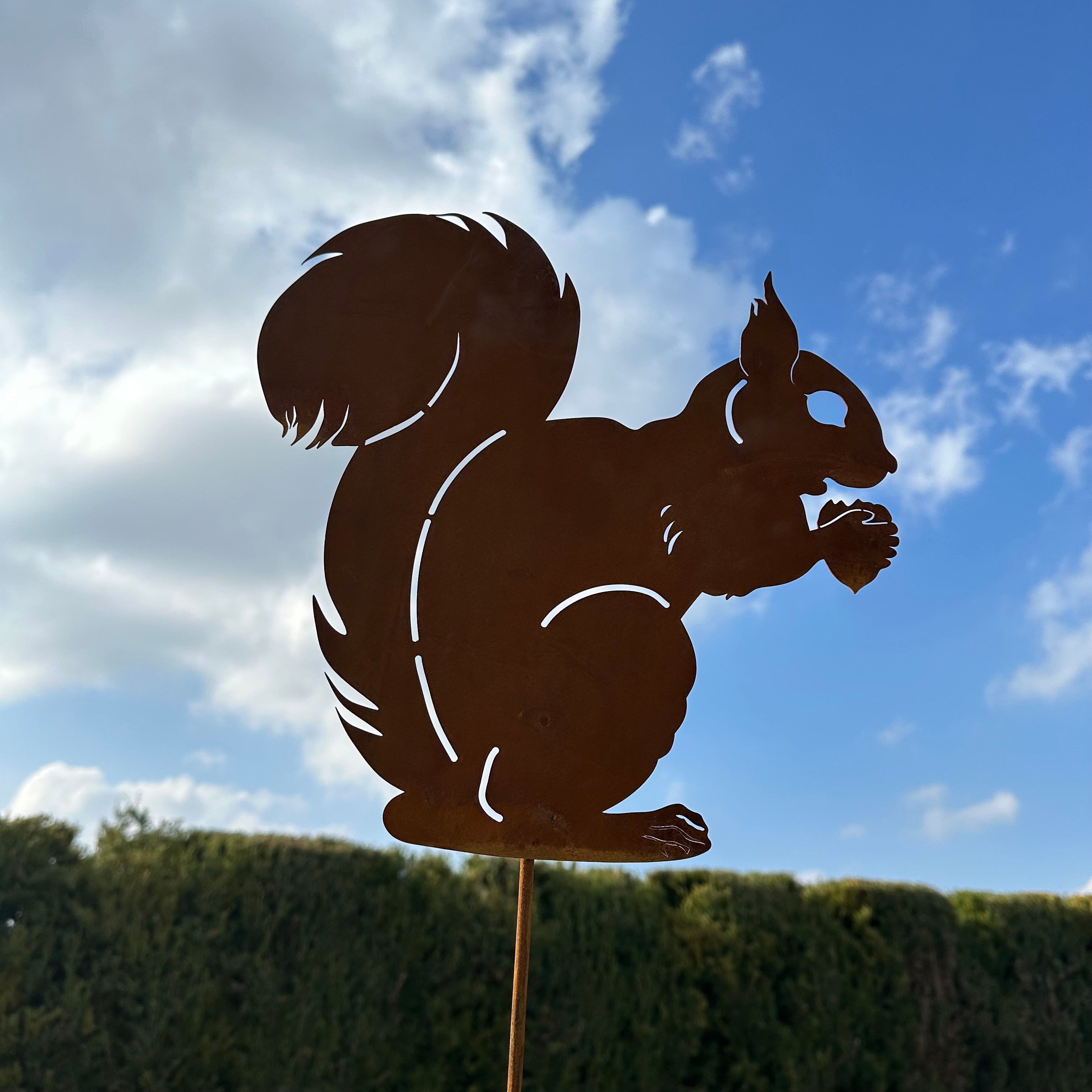 Eichhörnchen „mit Nuss”