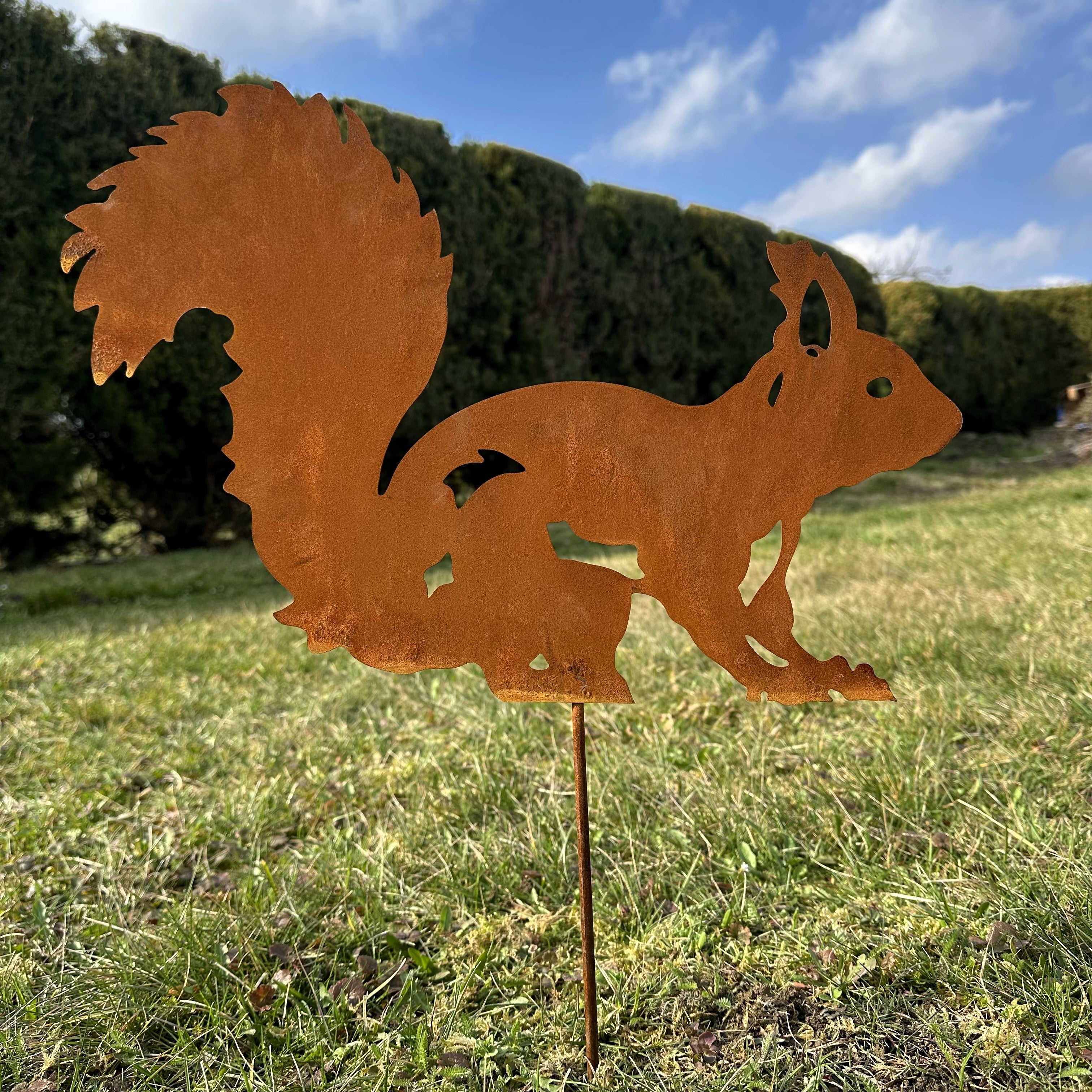 Eichhörnchen „Laufend”