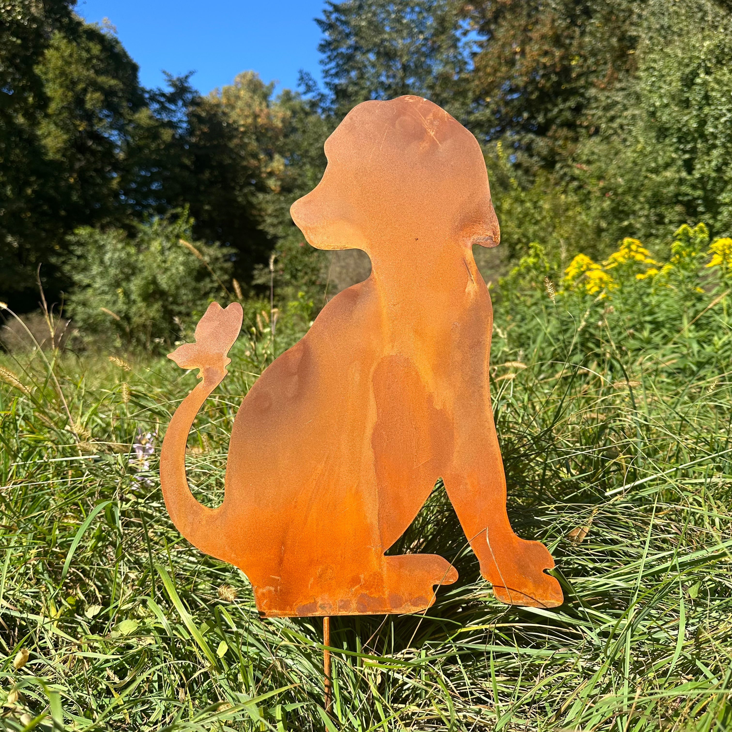 Hund „Nach hinten blickend”