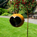 Apfel „Größte”