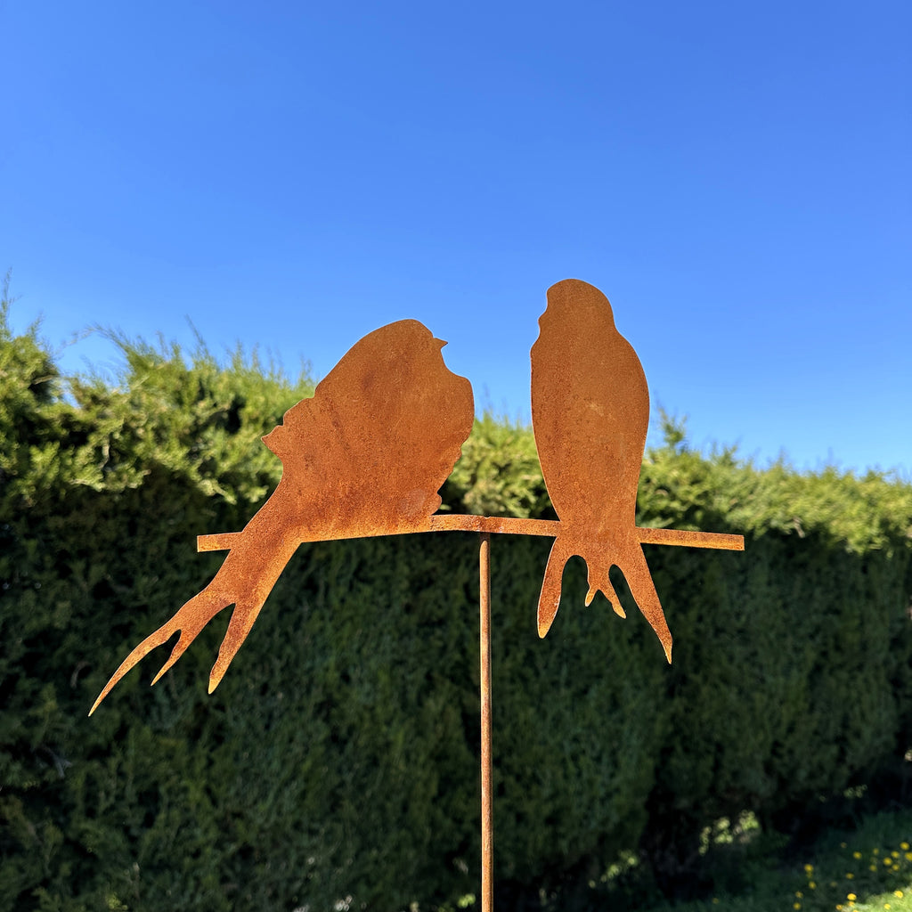 Vögel „Blick“