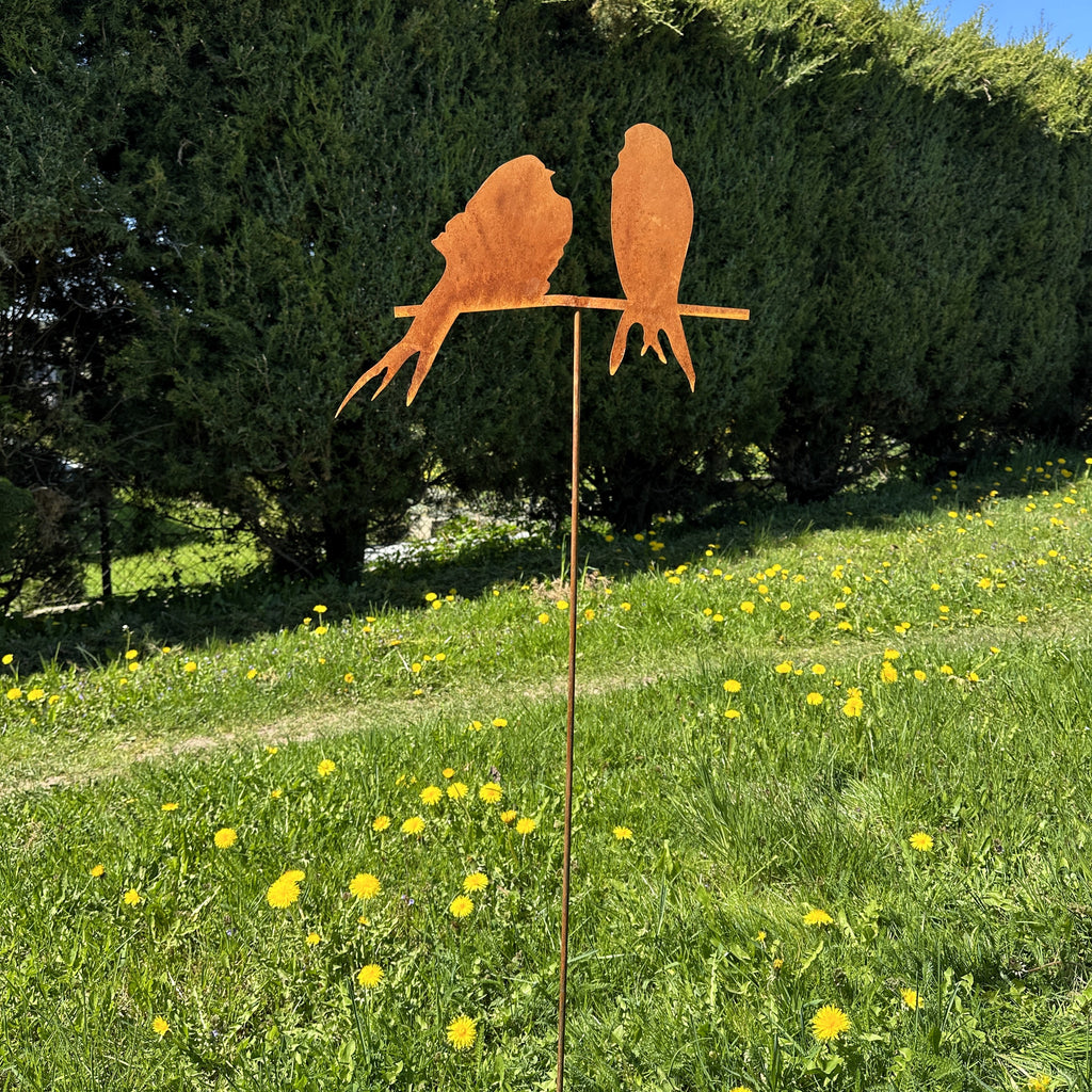 Vögel „Blick“
