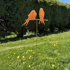 Vögel „Blick“
