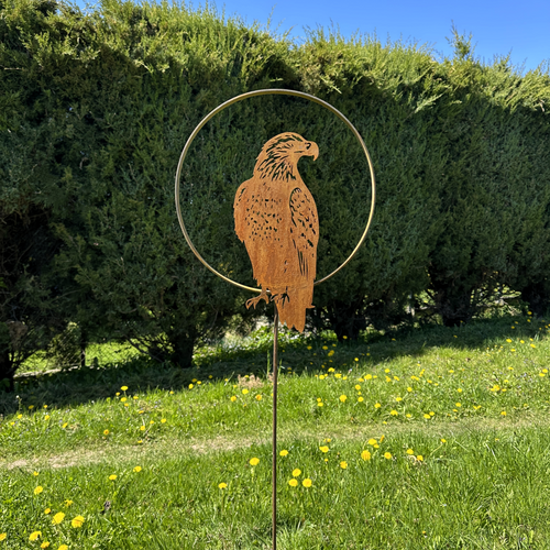 Adler „im Kreis”