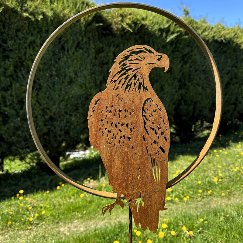 Adler „im Kreis”
