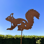 Eichhörnchen „laufend” auf Stab